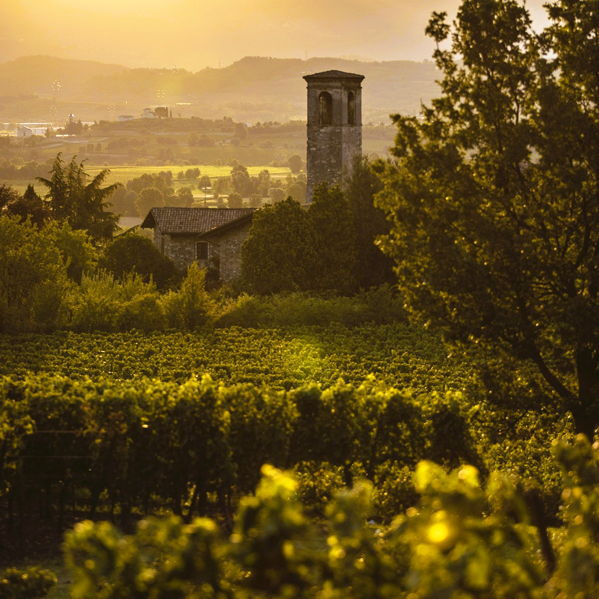 Bellavista Alma Assemblage 1  DOCG - Extra Brut - Franciacorta