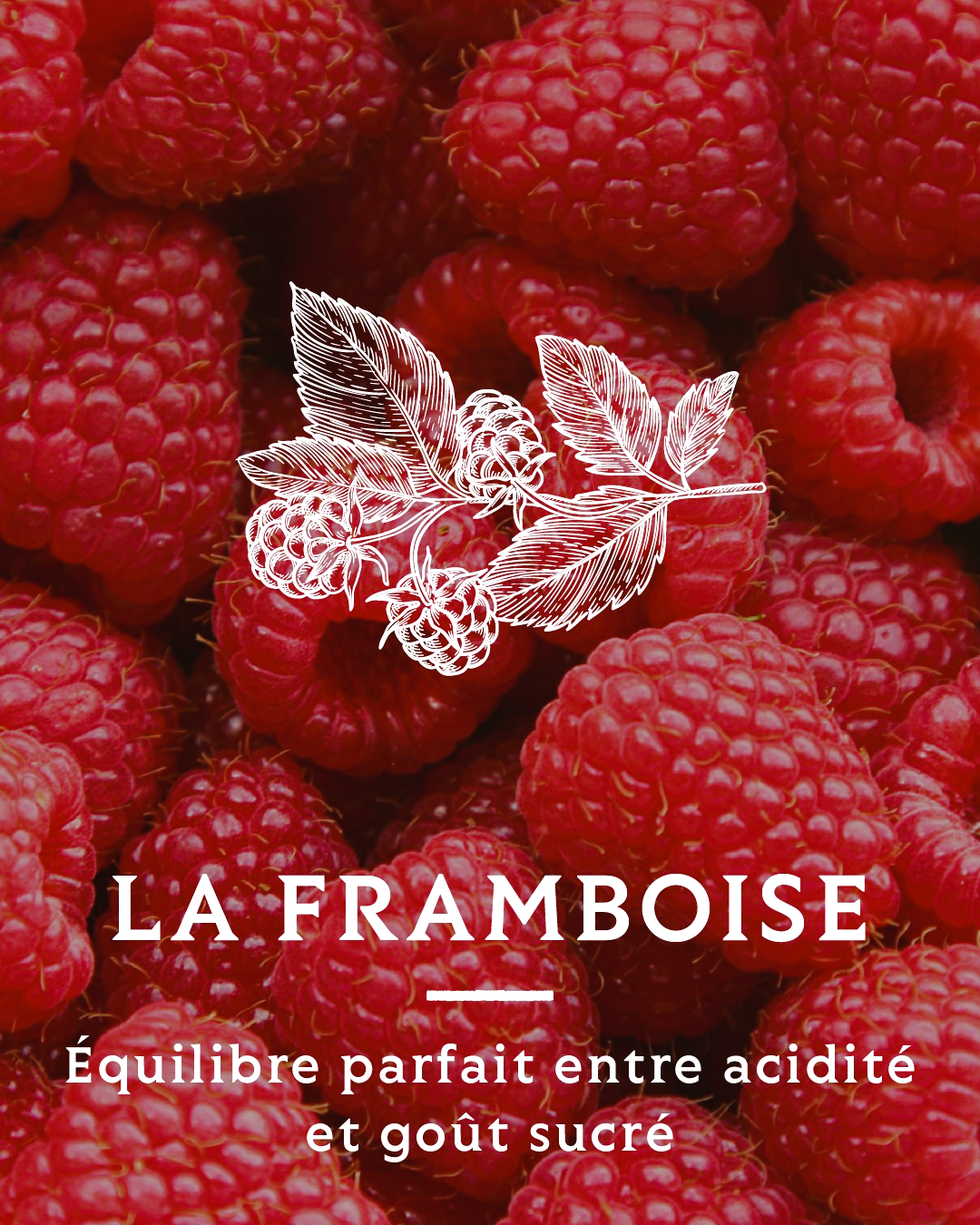 Himbeer Fruchtessig - A l'Olivier - 200ml