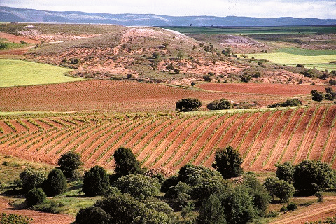 PSI (by Pingus) 2022 - Bodegas y Viñedos Alnardo - Dominio de Pingus - Ribera del Duero - 75cl