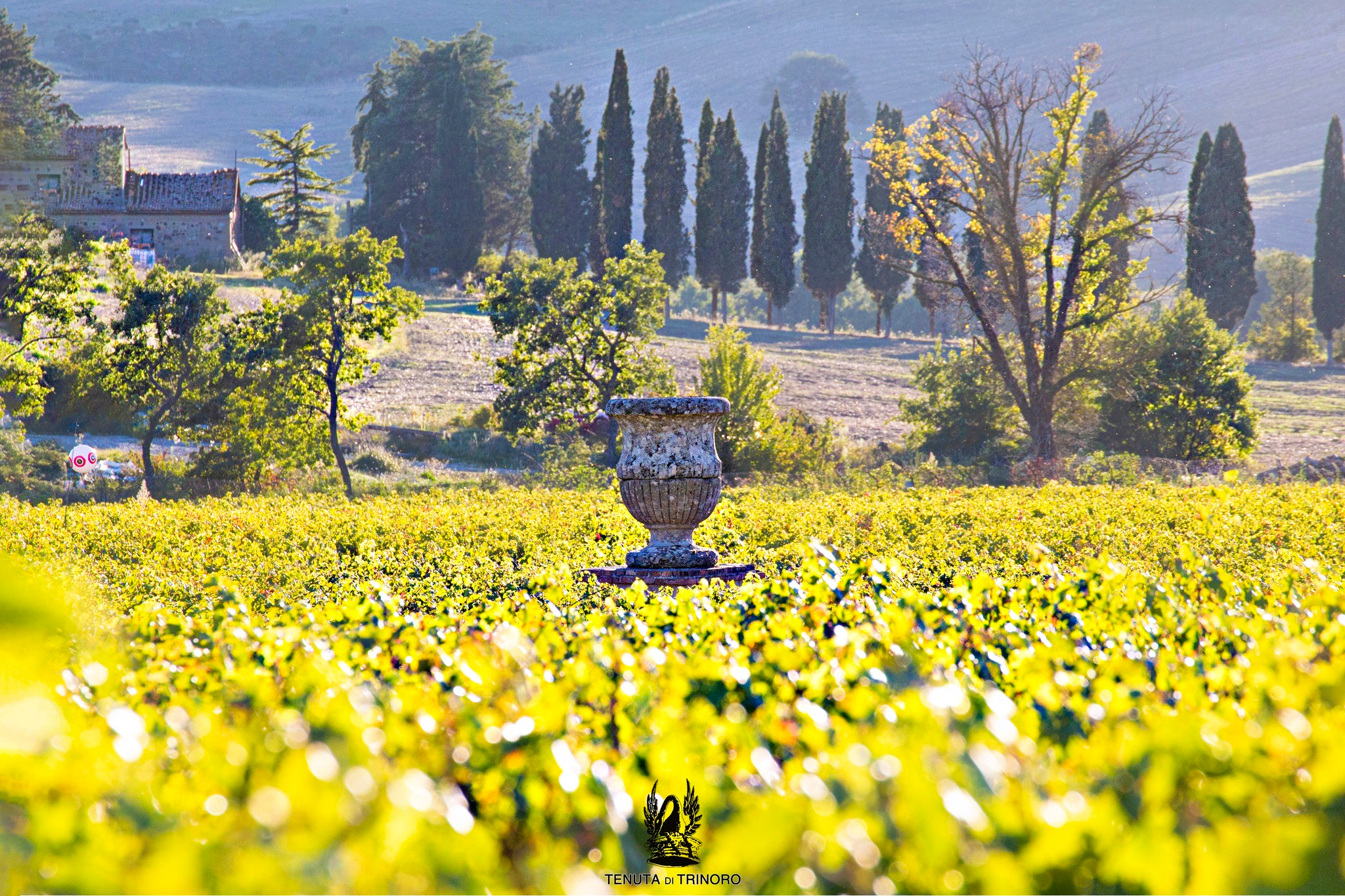 Le Cupole 2022 - Tenuta di Trinoro - IGT - Toskana - 75cl