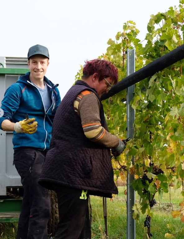 Blaufränkisch Reisbühl 2018 - Burgenland - Weingut Kirchknopf - 75cl