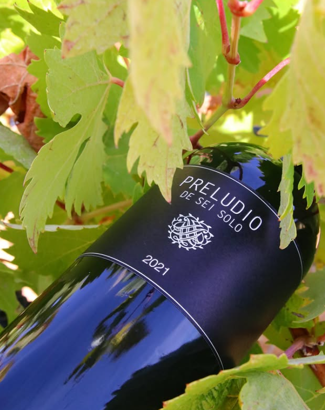 Preludio de Sei Solo 2021 – Ribera del Duero – Bodegas Sei Solo – 75 cl