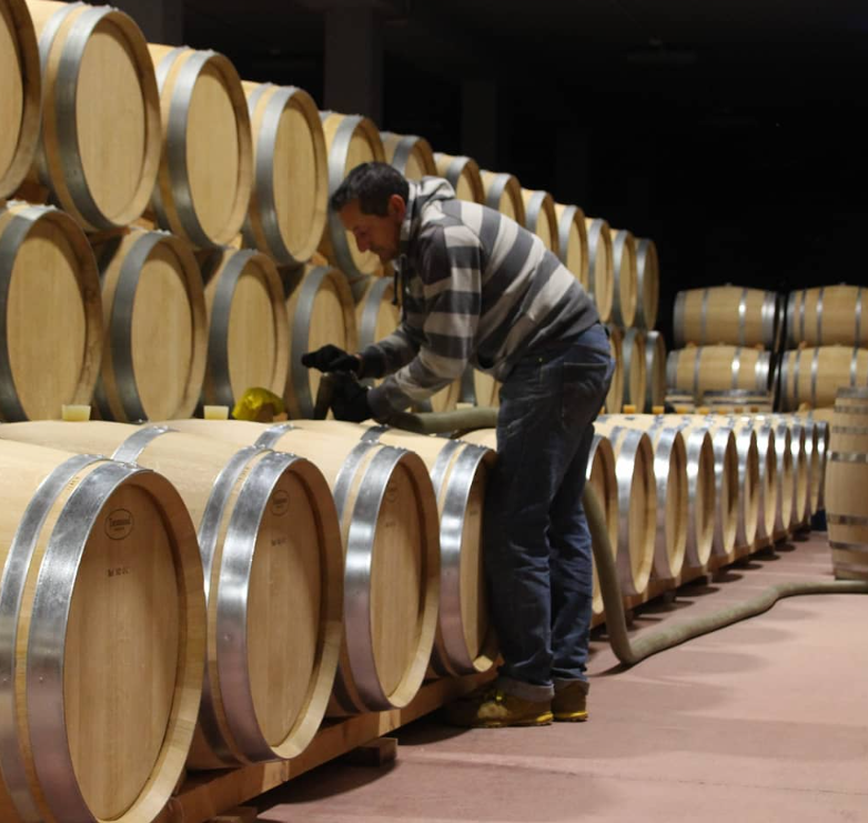 San Roman - Toro - Bodegas y Viñedos - 2021 - 75cl