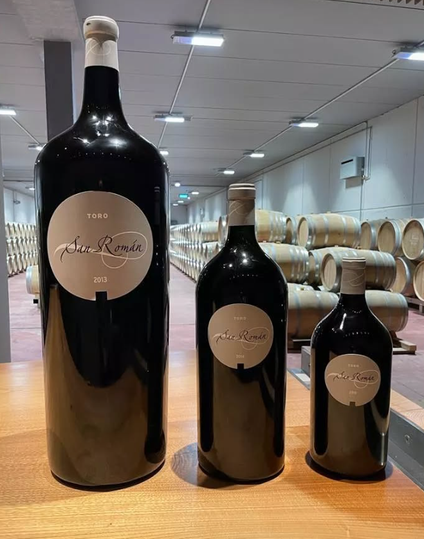 San Roman - Toro - Bodegas y Viñedos - 2021 - 75cl