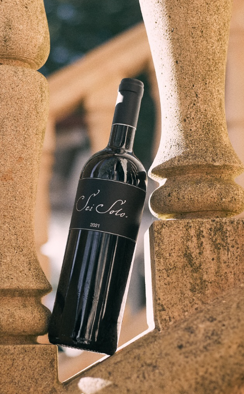 Sei Solo 2021 – Bodegas Sei Solo – Ribera del Duero – 75 cl