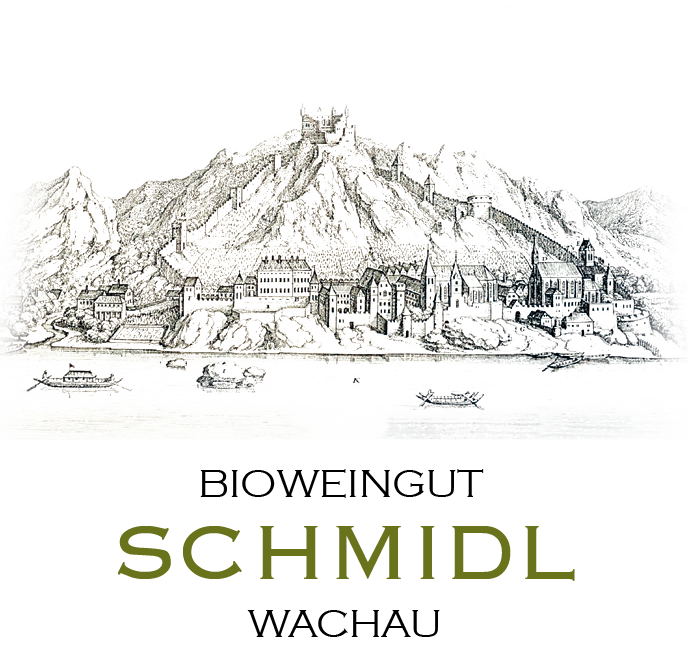 Riesling Smaragd Ried Küss den Pfennig - 2021 - Wachau - Weingut Schmidl - 75cl