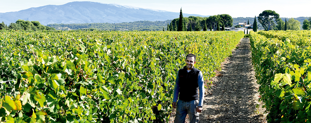 Il Etait Une Fois - Fondrèche 2019 - Côtes du Rhône - 75cl