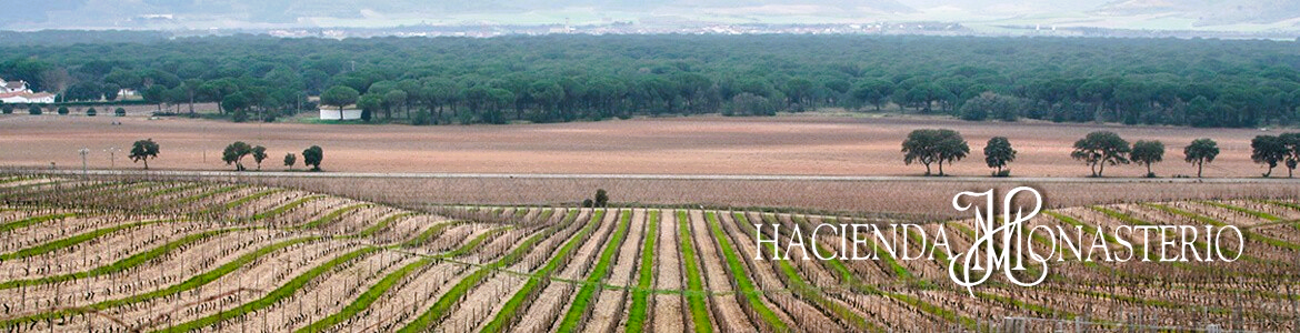 Hacienda Monasterio 2022 - Ribera del Duero - 75cl