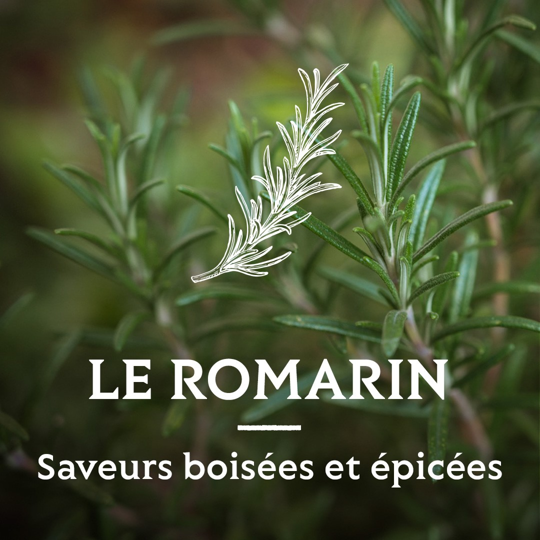 Olivenöl mit Rosmarin - A l'Olivier - 250ml