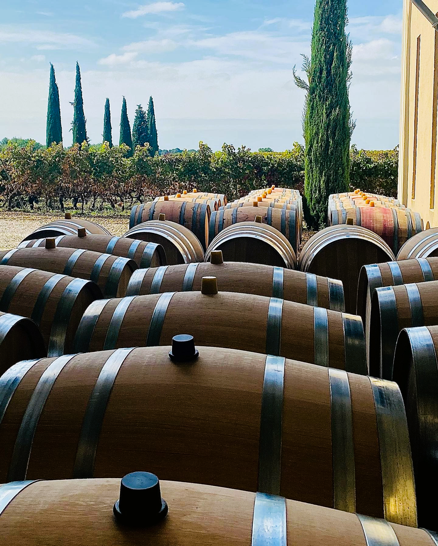Il Etait Une Fois - Fondrèche 2019 - Côtes du Rhône - 75cl