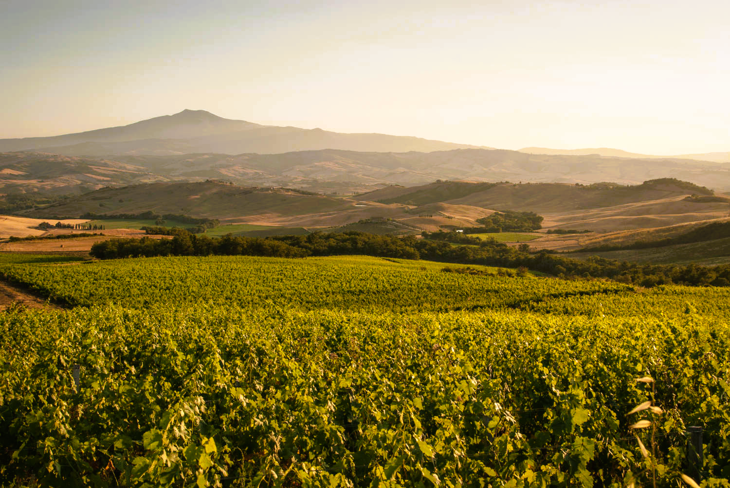 Le Cupole 2022 - Tenuta di Trinoro - IGT - Toskana - 75cl