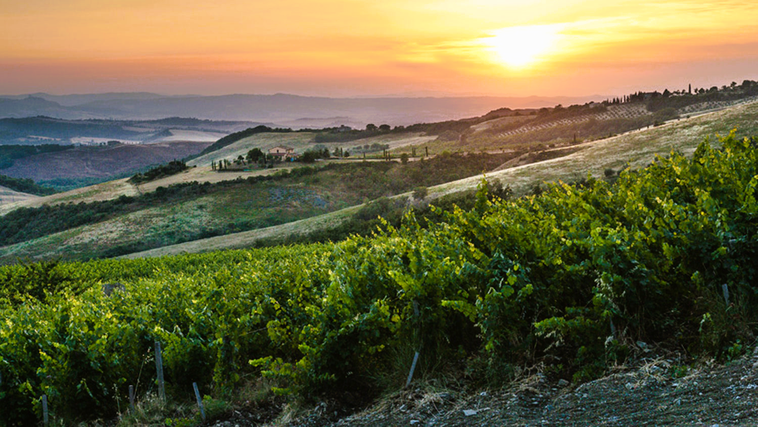 Le Cupole 2022 - Tenuta di Trinoro - IGT - Toskana - 75cl