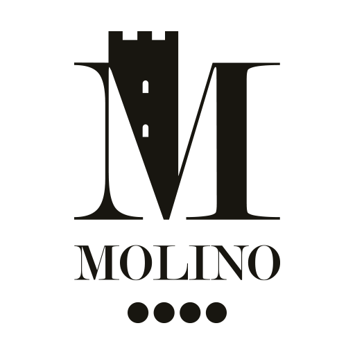 Barbaresco Ausario 2020 - Molino - Piemont DOCG -75cl