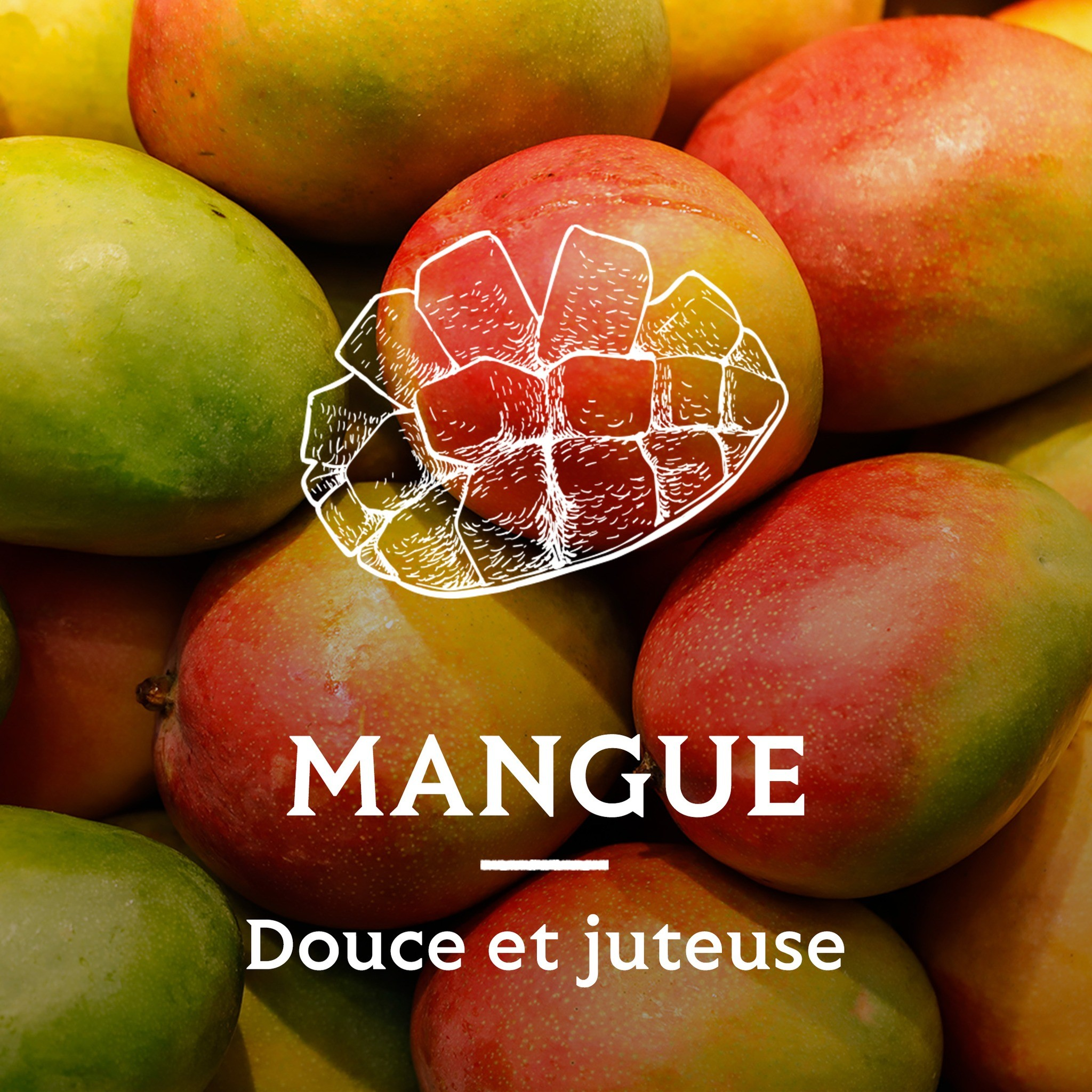 Mango Fruchtessig von A L'Olivier - 200ml
