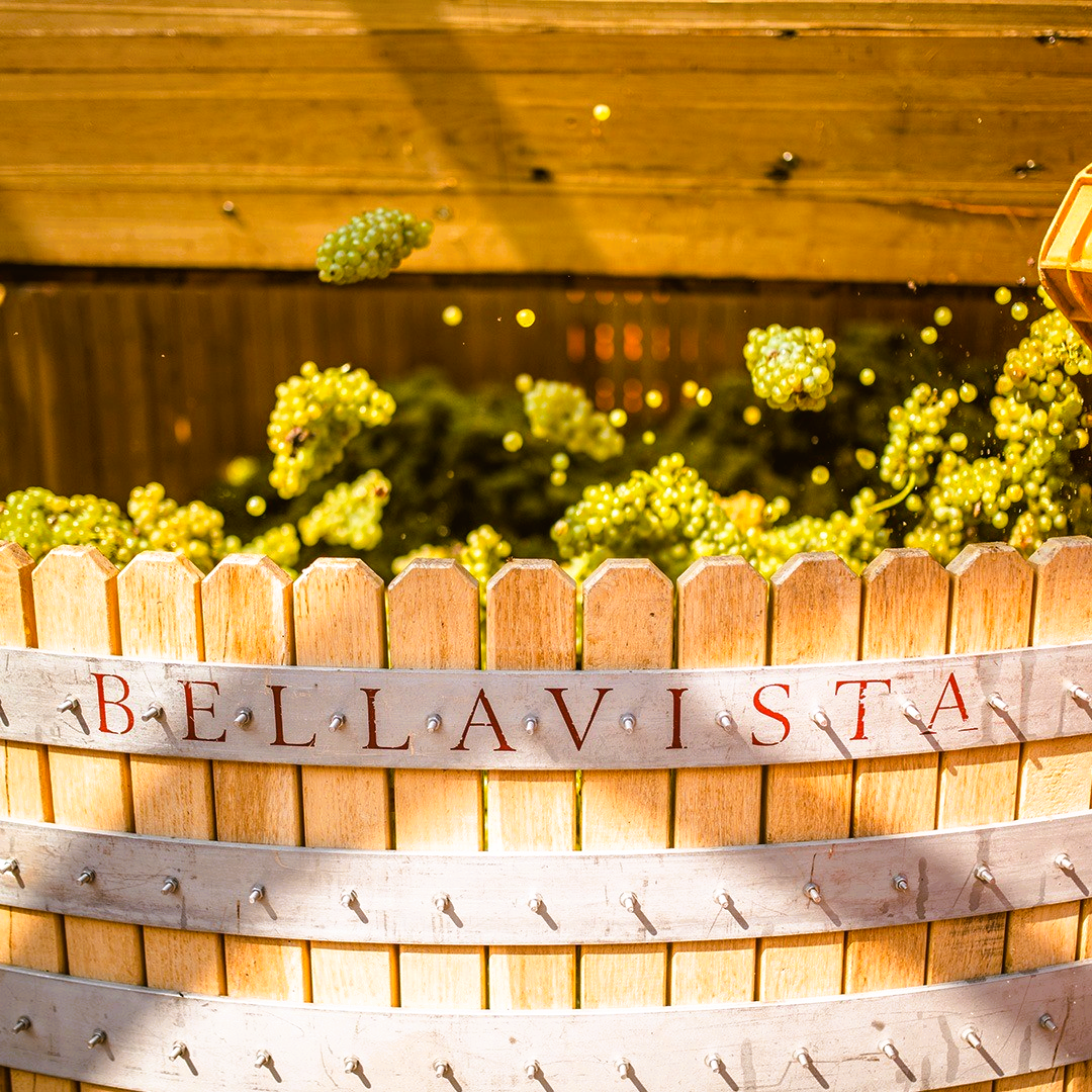 Bellavista Alma Assemblage 1  DOCG - Extra Brut - Franciacorta