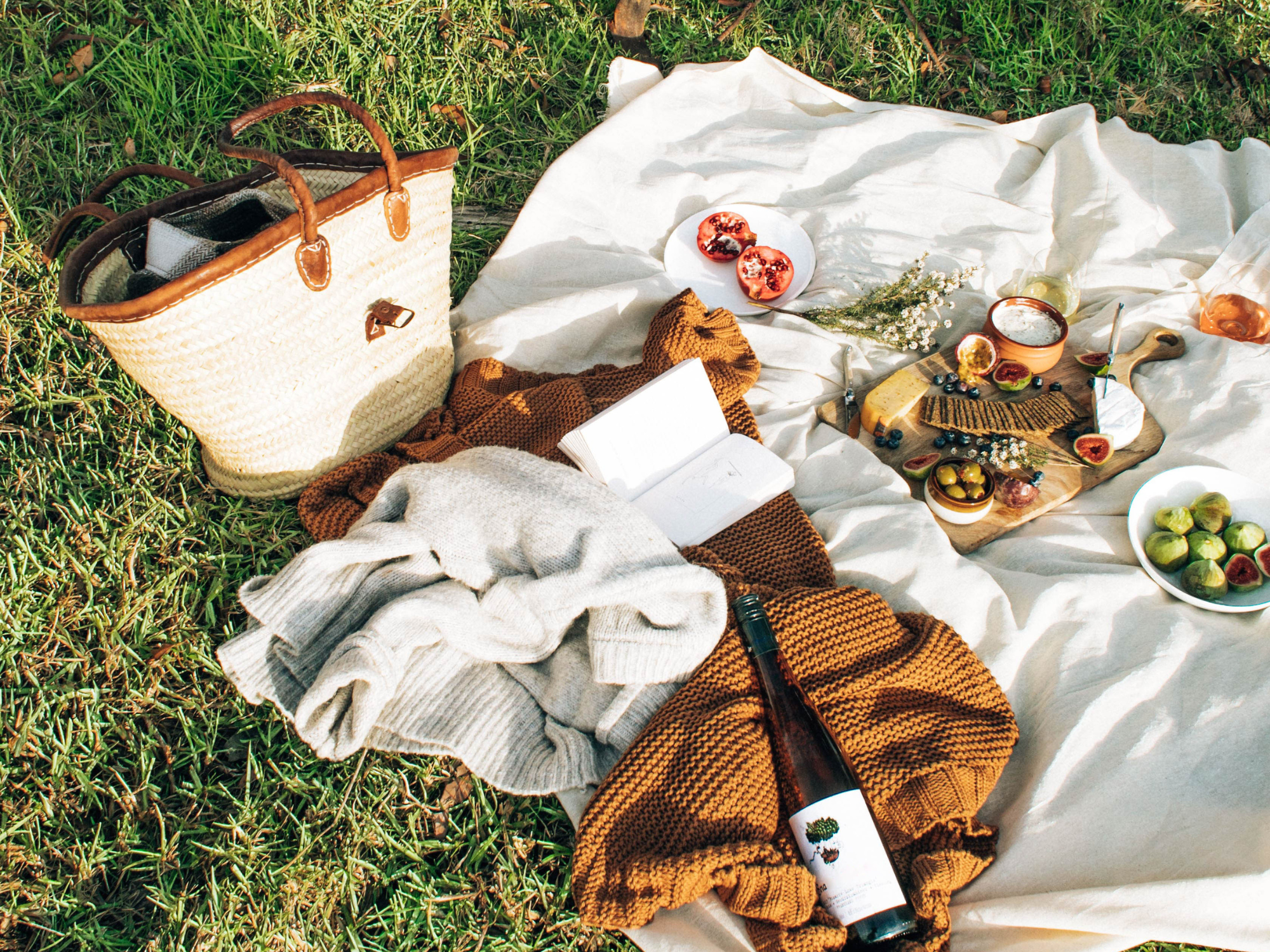 Picknick für jeden Anlass – Ideen für Familien, Freund:innen & romantische Dates