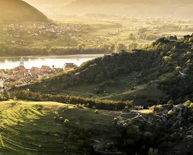 
                  
                    Grüner Veltliner Kellerberg Smaragd - Wachau - Weingut Schmidl
                  
                