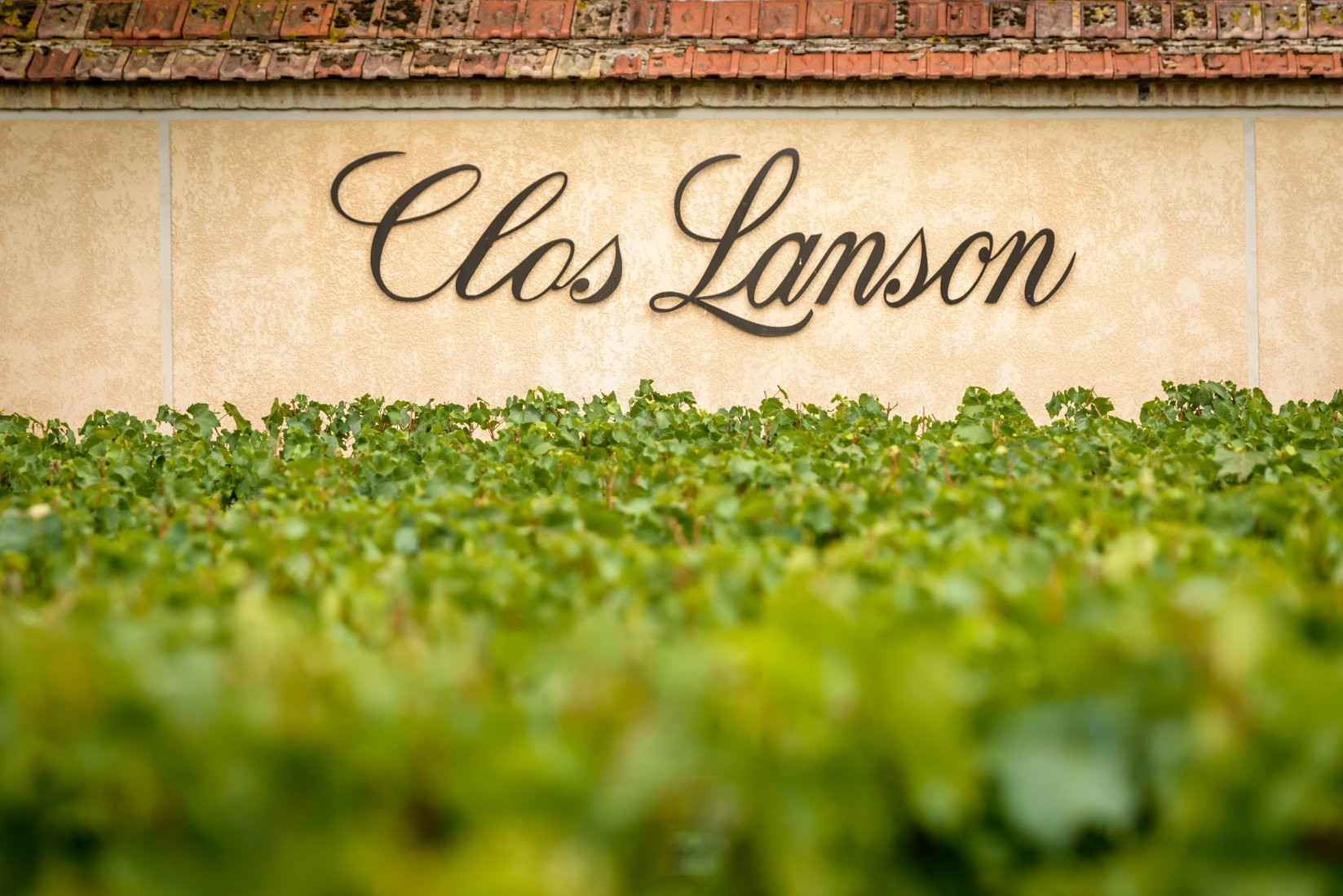 Champagner Lanson - Le Rosé Création