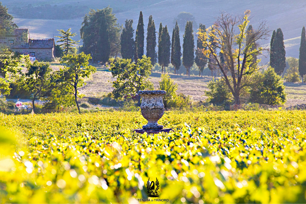 
                  
                    Le Cupole - Tenuta di Trinoro - Toskana
                  
                