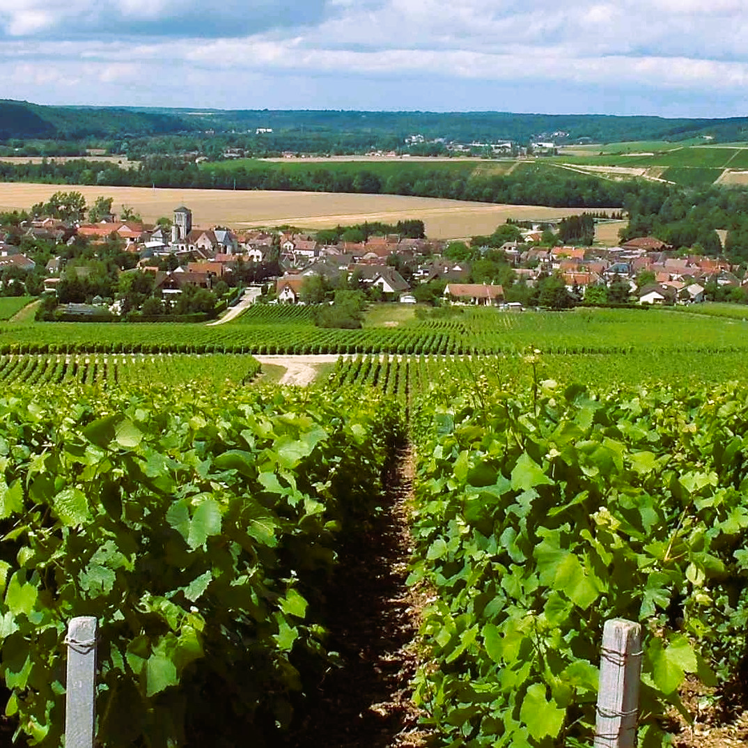 
                  
                    Champagne Huguenot-Tassin Cuvée Mystère
                  
                