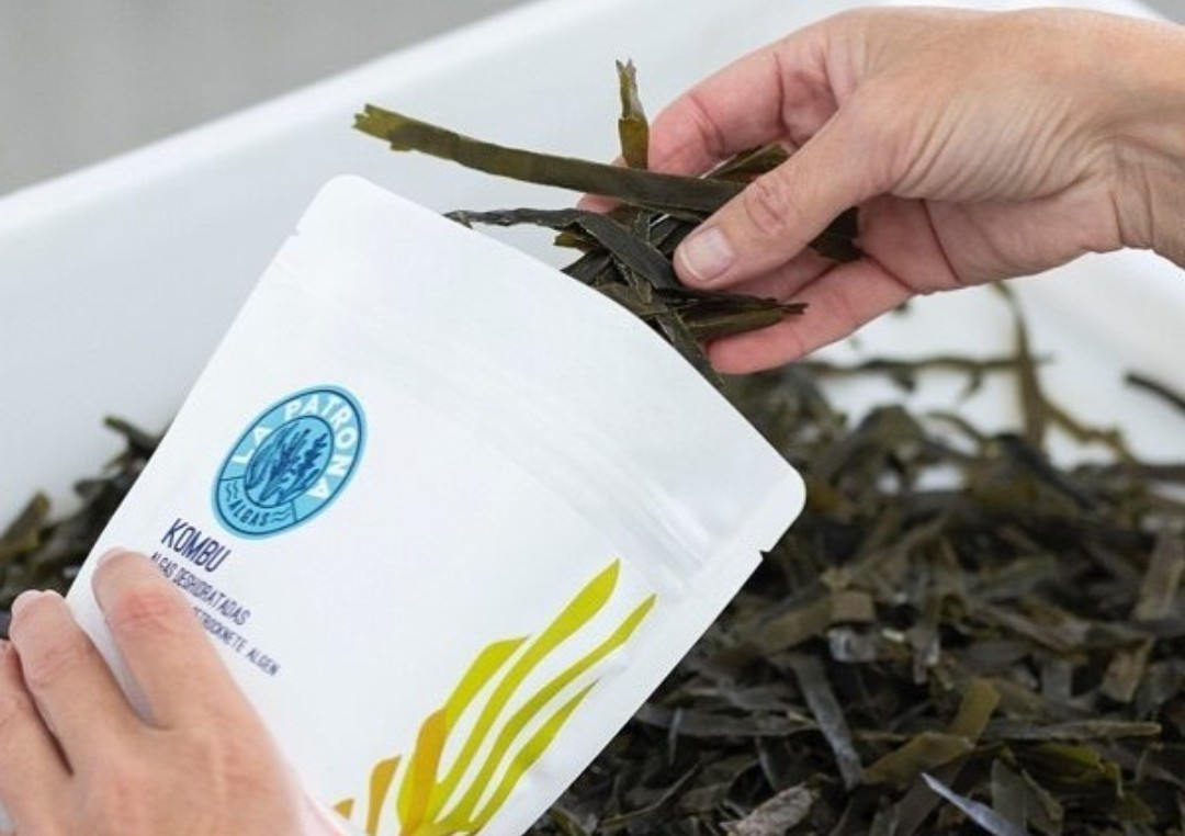 
                  
                    Kombu - RAW-Vegan - dried organic seaweed from Galicia - 40g
                  
                