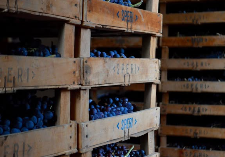 Amarone Classico della Valpolicella Sant’Urbano 2019 – Speri Viticoltori - 75cl