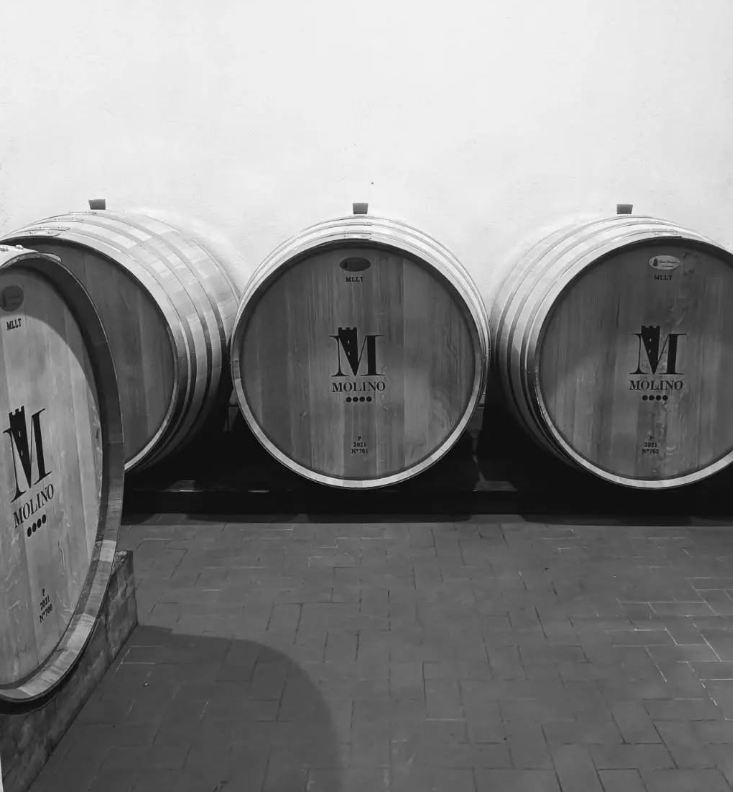 Barbaresco Ausario 2020 - Molino - Piedmont DOCG -75cl