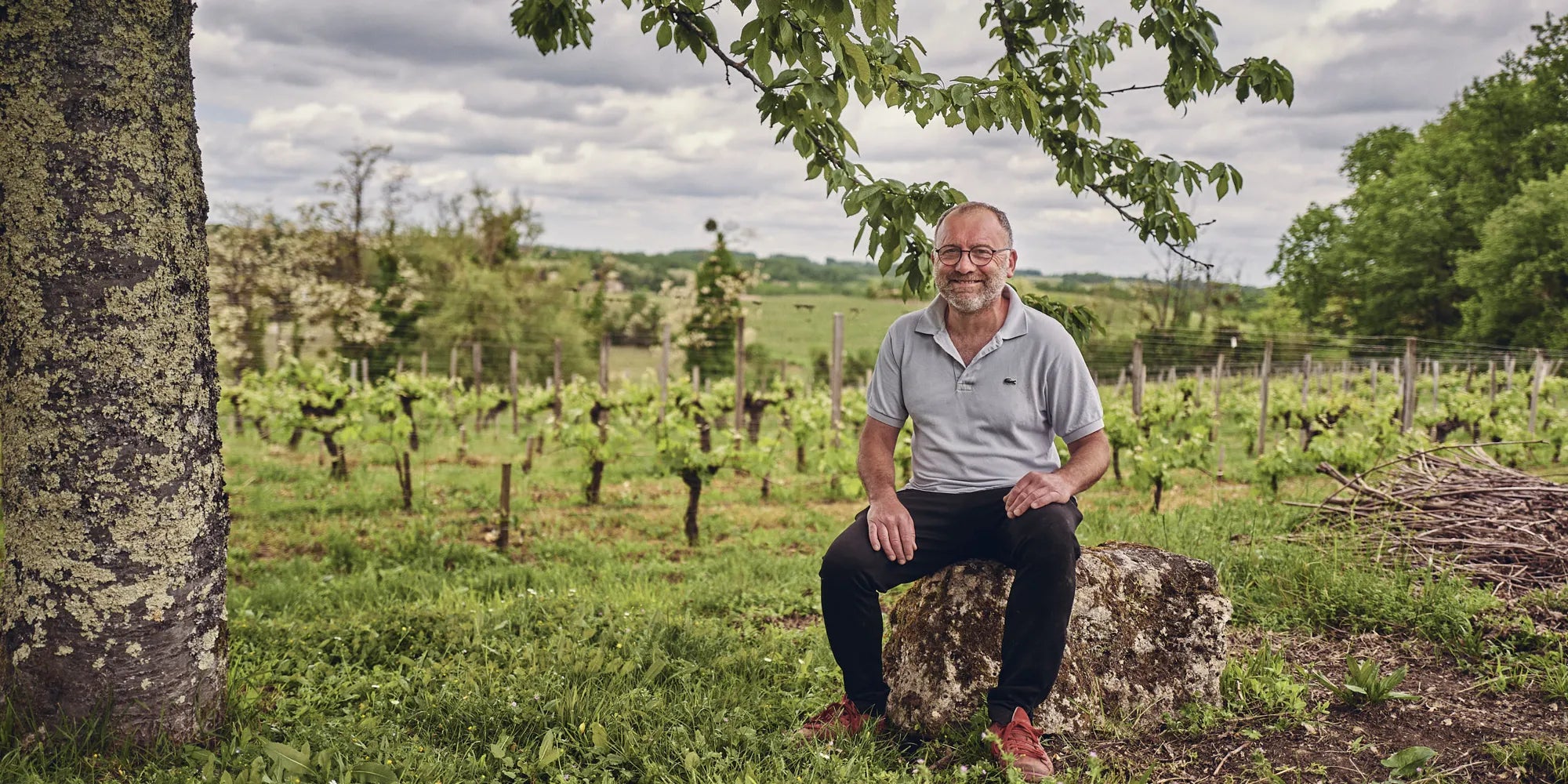 Château Tertre de la Mouleyre 2015 - Grand Cru St. Emilion - 75cl