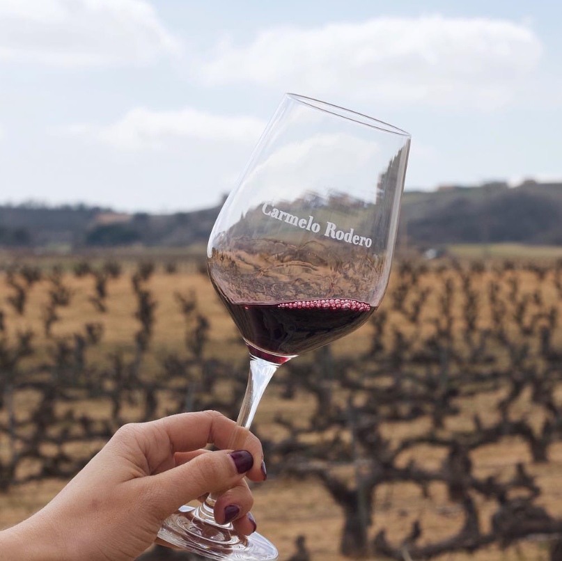 Carmelo Rodero Reserva Raza 2021 – Ribera del Duero – 75 cl