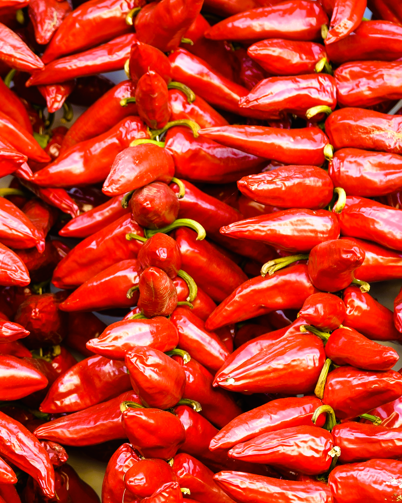 Piment Espelette für Olivenöl von A lOlivier