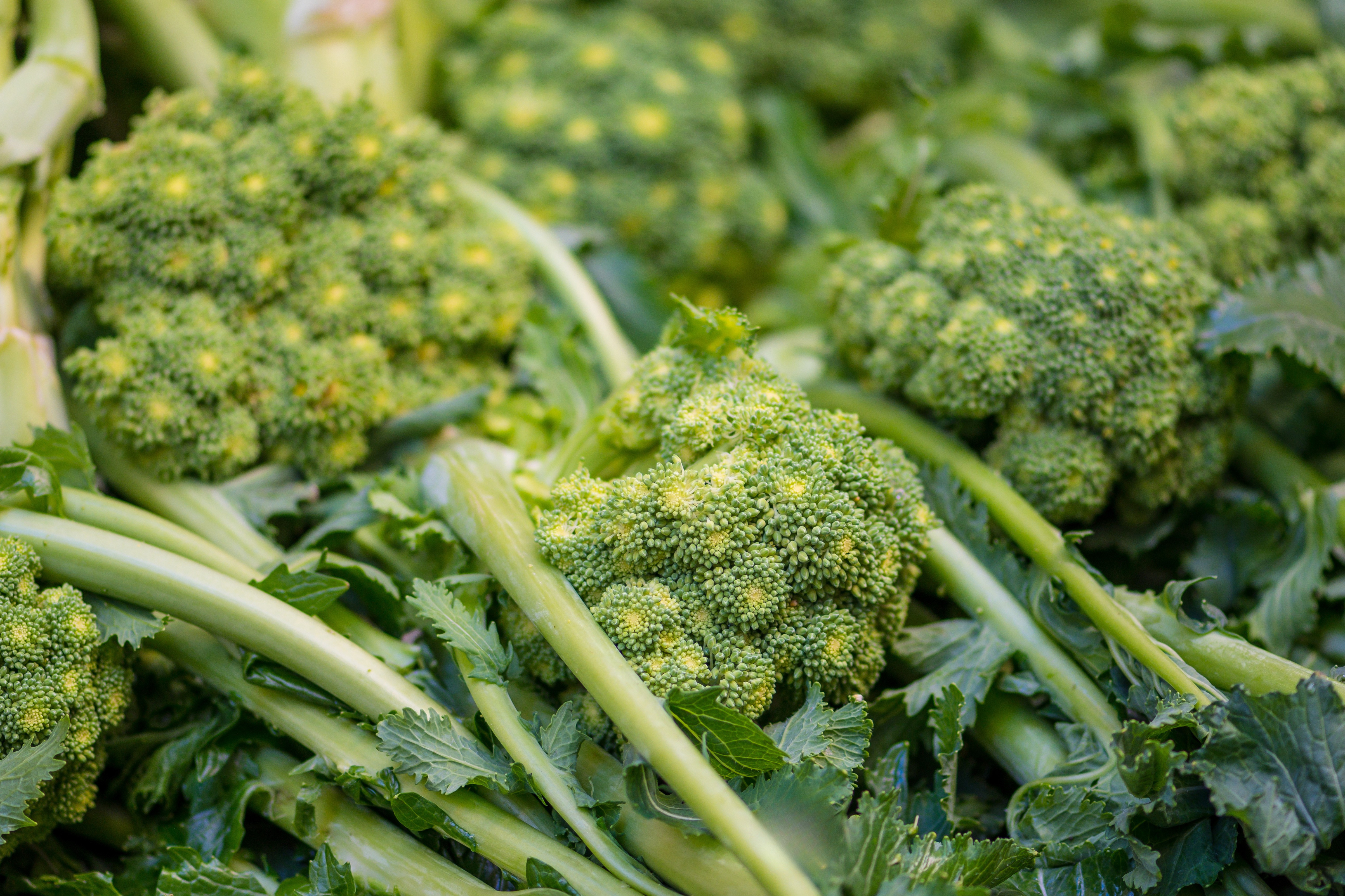 Crema di Cime di Rapa - I Contadini - 100g