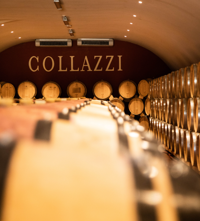 Collazzi 2021 - Chianti Toskana - Tenuta I Collazzi - 75cl