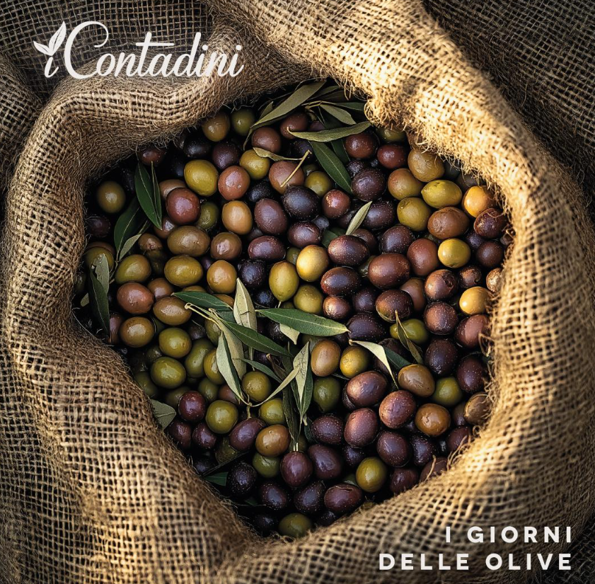 Patè di Olive nere - I Contadini - 100g