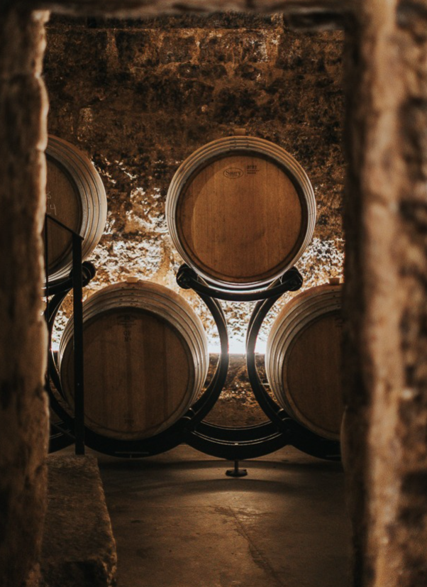 Mauro - Bodegas Mauro - 2023 - 75cl