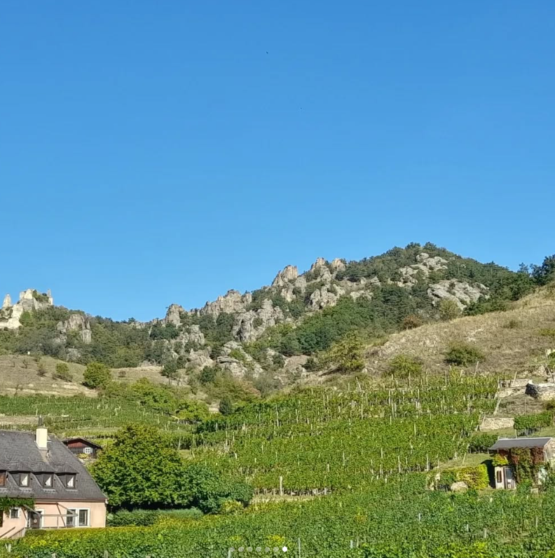 Grüner Veltliner Kellerberg Smaragd - Wachau - Weingut Schmidl