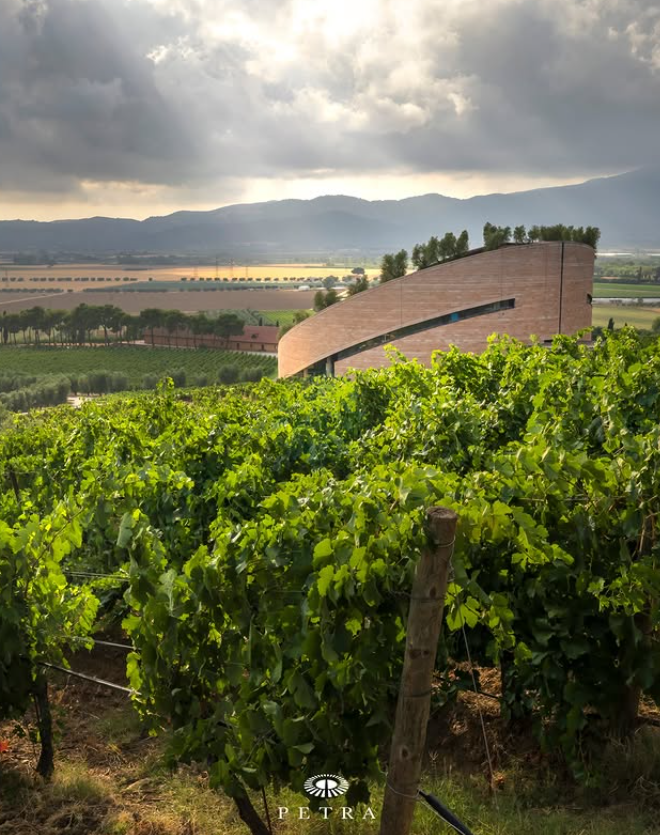 Quercegobbe 2023 - Petra - Merlot Rosso Toscana - 75cl