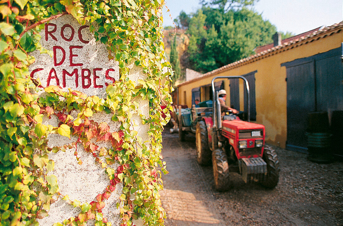 Château Roc de Cambes 2018 – Magnum 1,5 l - Côtes de Bourg - Bordeaux