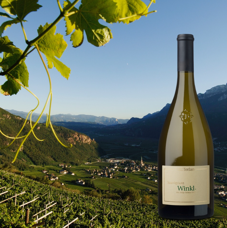 Sauvignon Winkl 2024 - Kellerei Terlan – Alto Adige - 75cl
