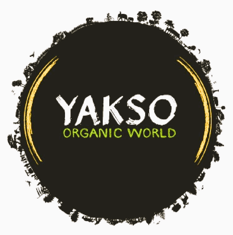 Organic rice noodles – Yakso - 220g