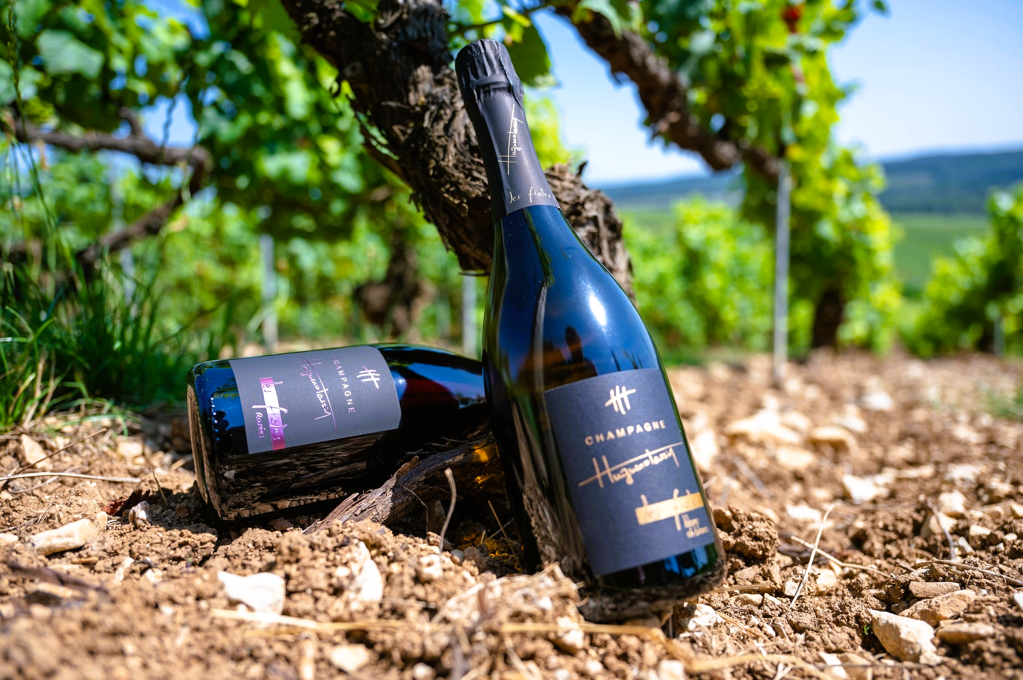 Champagner Huguenot-Tassin les Fioles Blanc de Blancs
