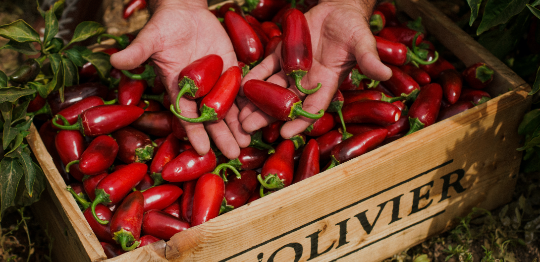 Olivenöl mit Chili Piment Espelette - A l'Olivier – 250ml