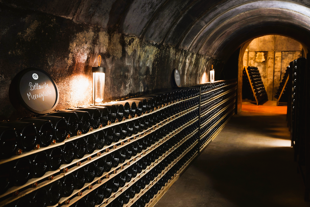 
                  
                    Franciacorta Alma Grande Cuvée Brut from Bellavista
                  
                