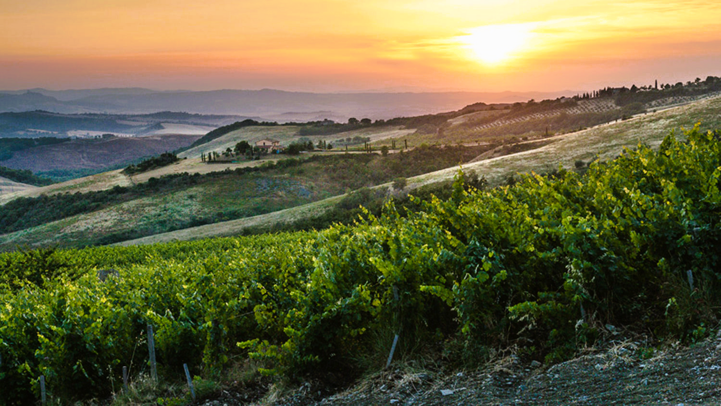 
                  
                    Le Cupole - Tenuta di Trinoro - Toskana
                  
                