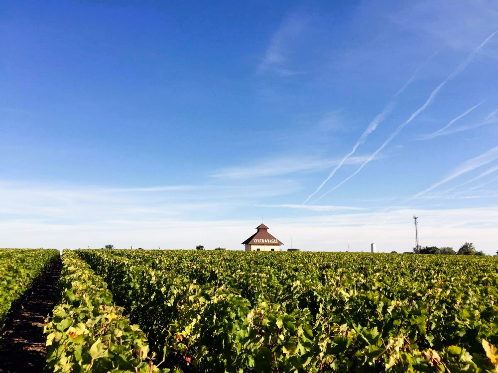 
                  
                    Château Lynch-Bages - Grand Cru Classé - Bordeaux 2009
                  
                