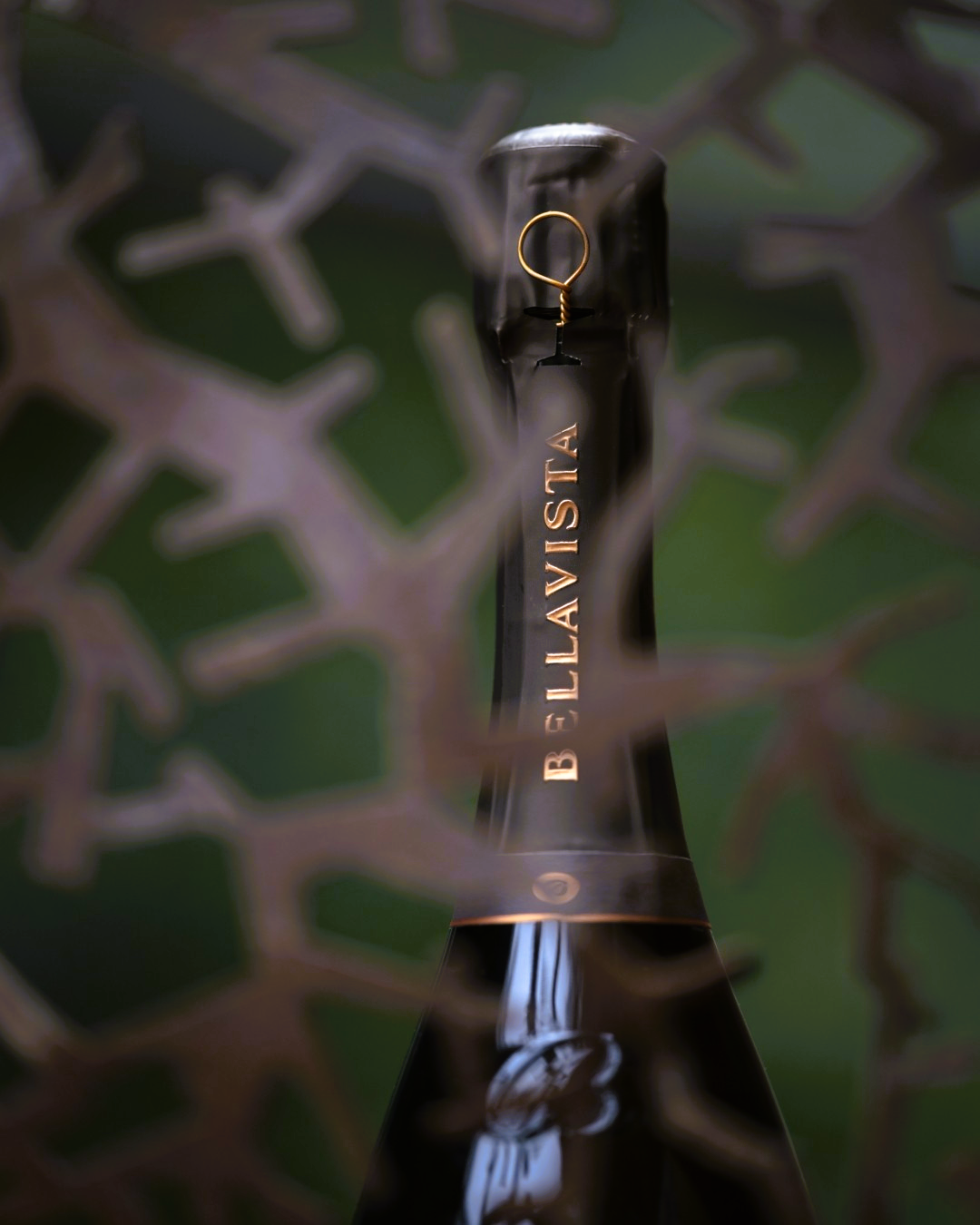 
                  
                    Franciacorta Alma Grande Cuvée Brut from Bellavista
                  
                